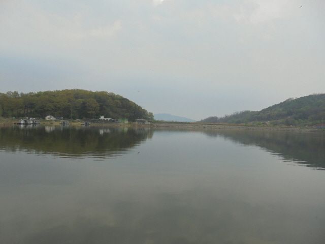 5.JPG