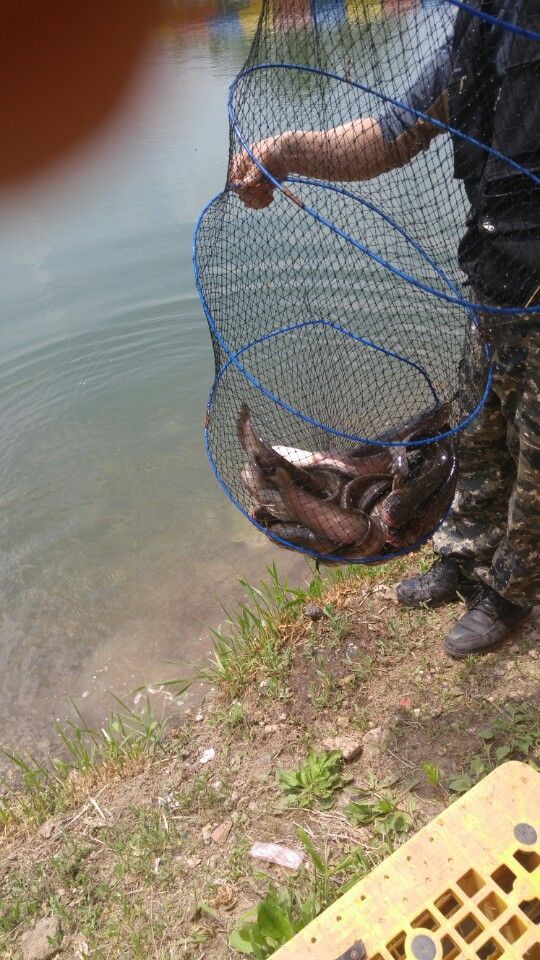 KakaoTalk_20160502_172236306.jpg