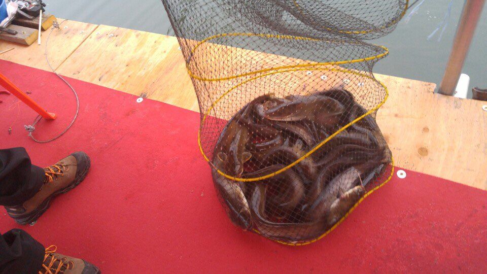 KakaoTalk_20160502_172448298.jpg