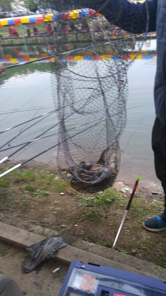KakaoTalk_20160502_172450948.jpg
