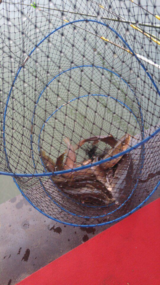 KakaoTalk_20160502_172449999.jpg