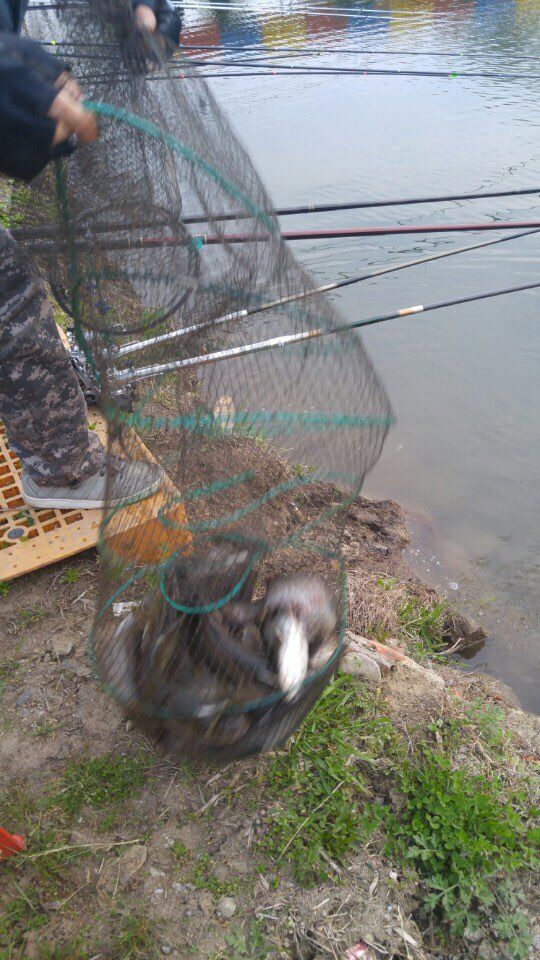 KakaoTalk_20160502_172451712.jpg
