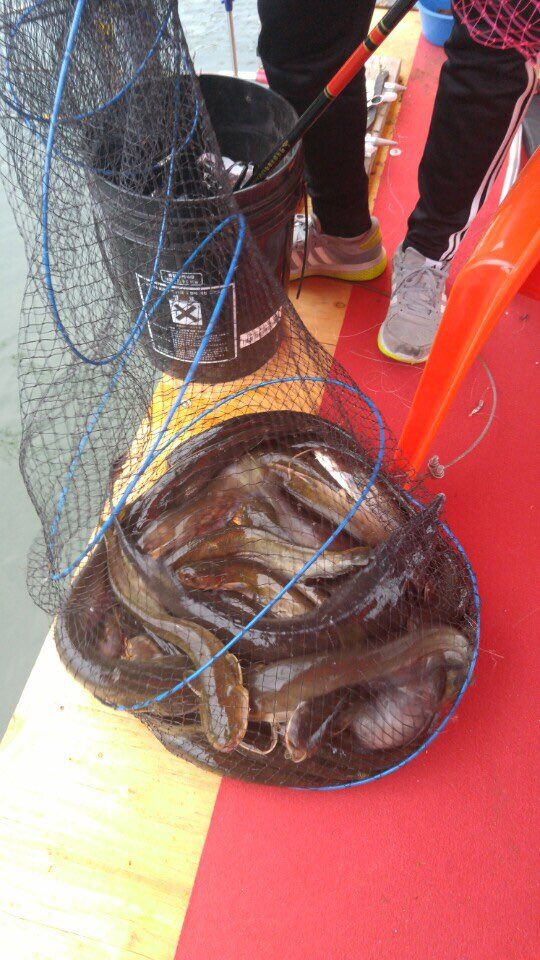 KakaoTalk_20160502_172452079.jpg