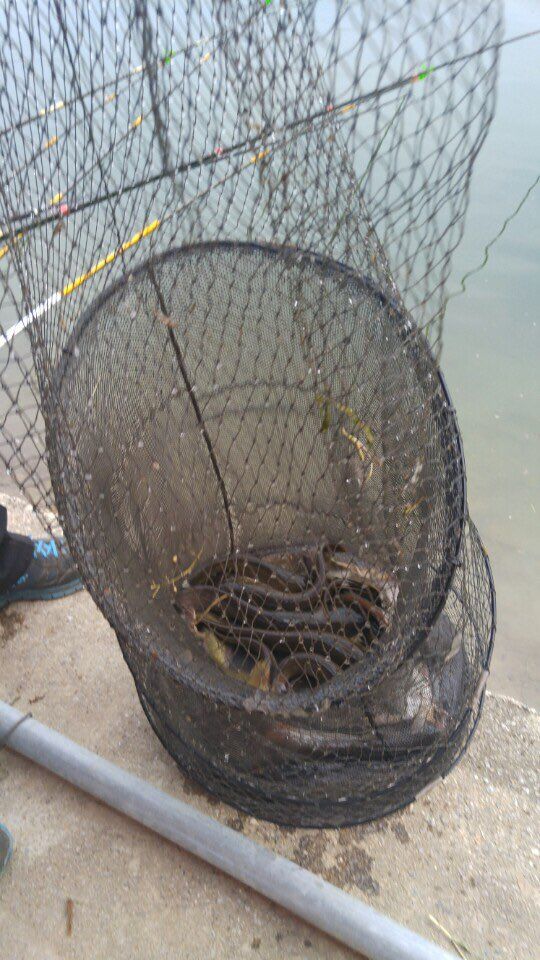 KakaoTalk_20160502_172453597.jpg