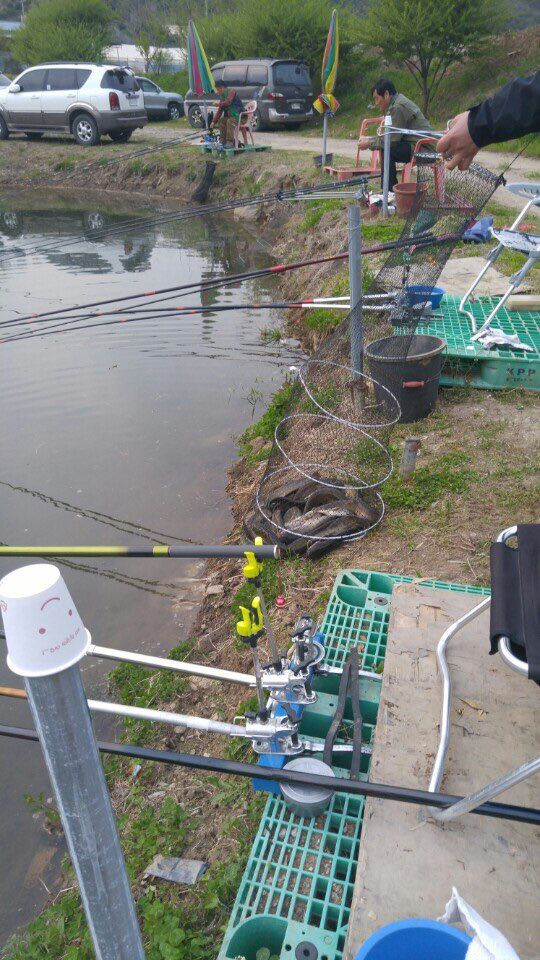 KakaoTalk_20160502_172454293.jpg