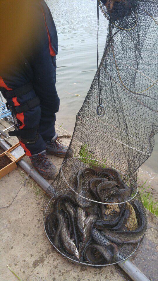 KakaoTalk_20160502_172456828.jpg