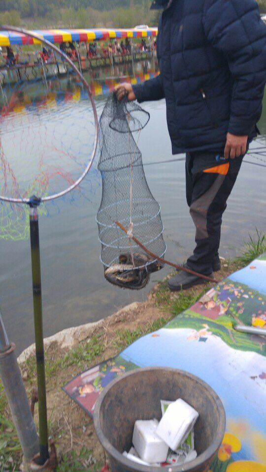 KakaoTalk_20160502_172455786.jpg