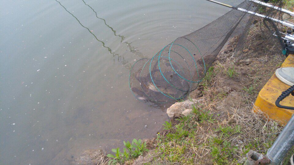 KakaoTalk_20160502_172548736.jpg