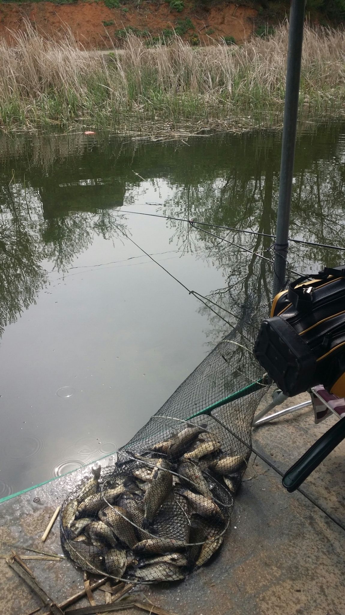 20160428_092405.jpg