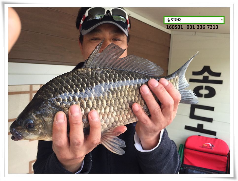 IMG_1464_2.jpg
