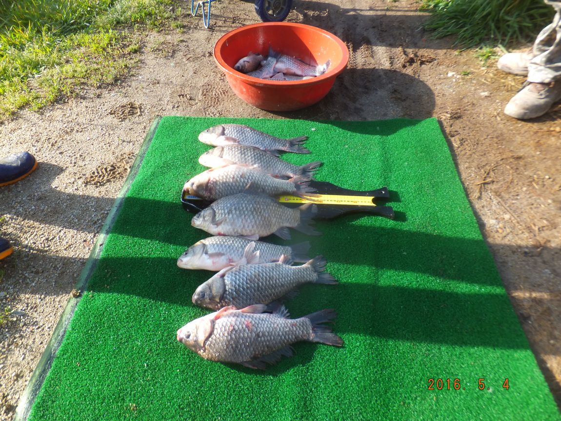 201300703 025.jpg