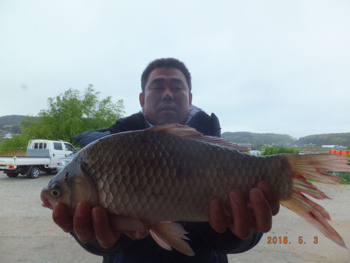 201300703 002.jpg