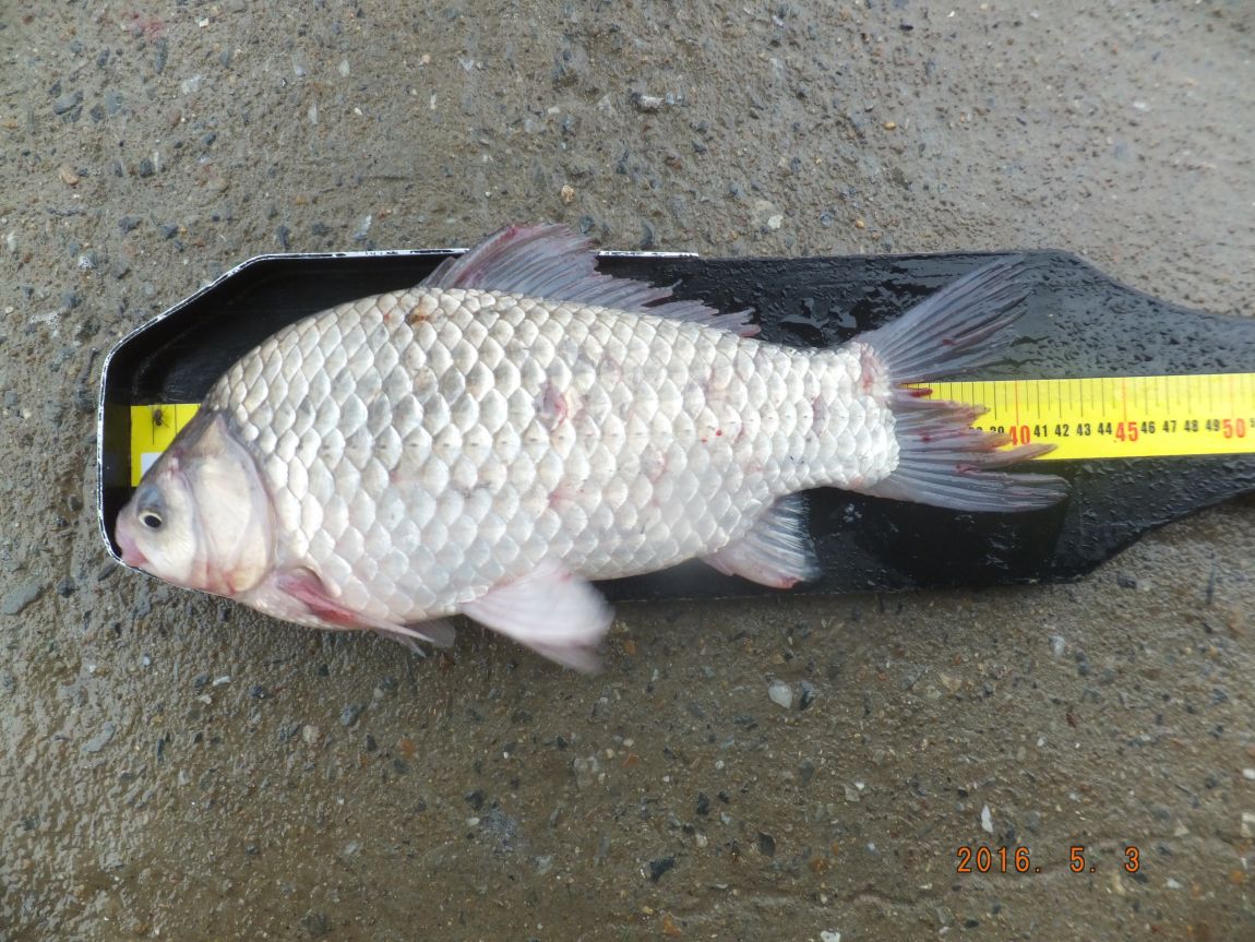 201300703 001.jpg