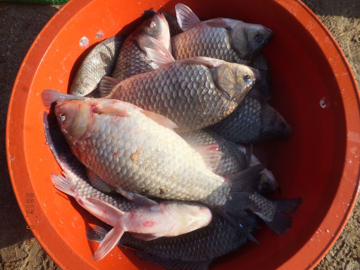201300703 022.jpg
