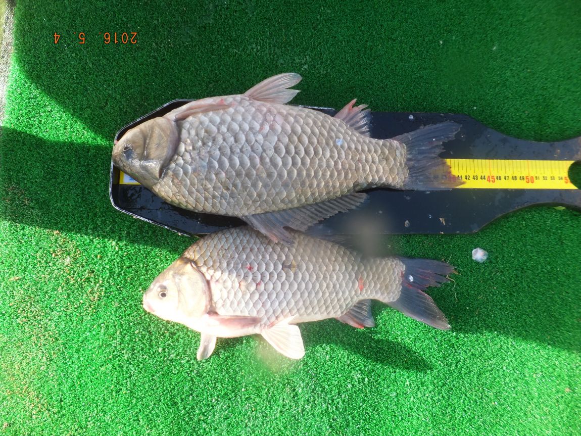 201300703 034.jpg