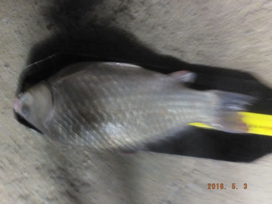 201300703 007.jpg