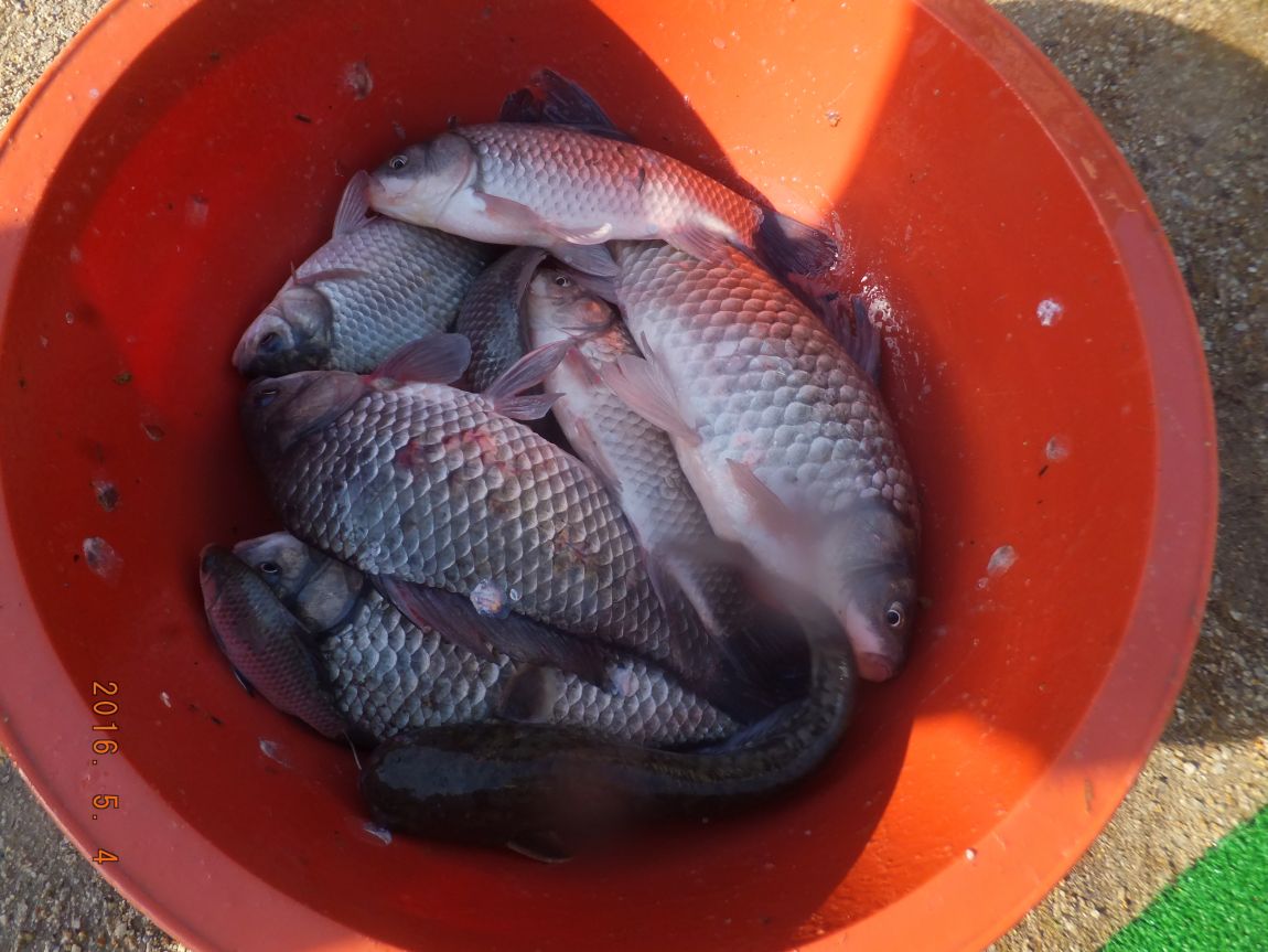 201300703 032.jpg