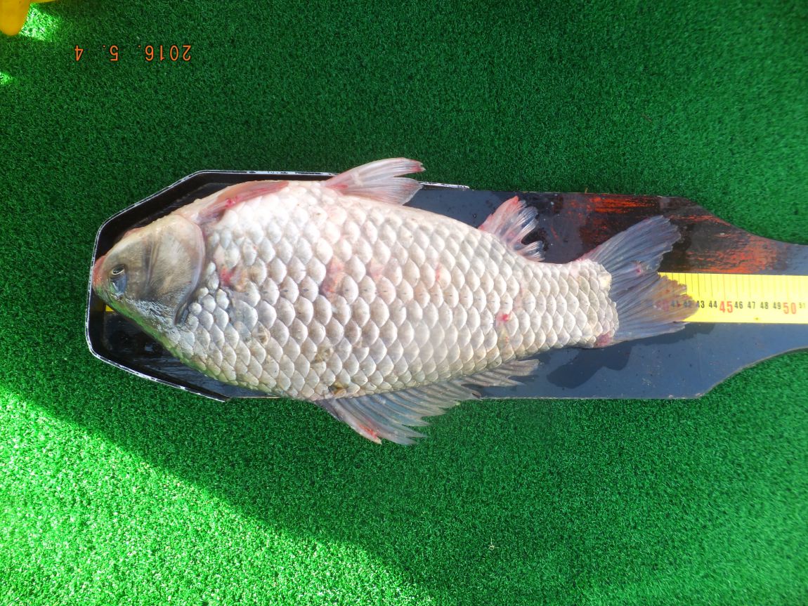 201300703 012.jpg