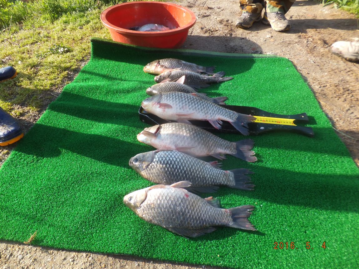 201300703 013.jpg