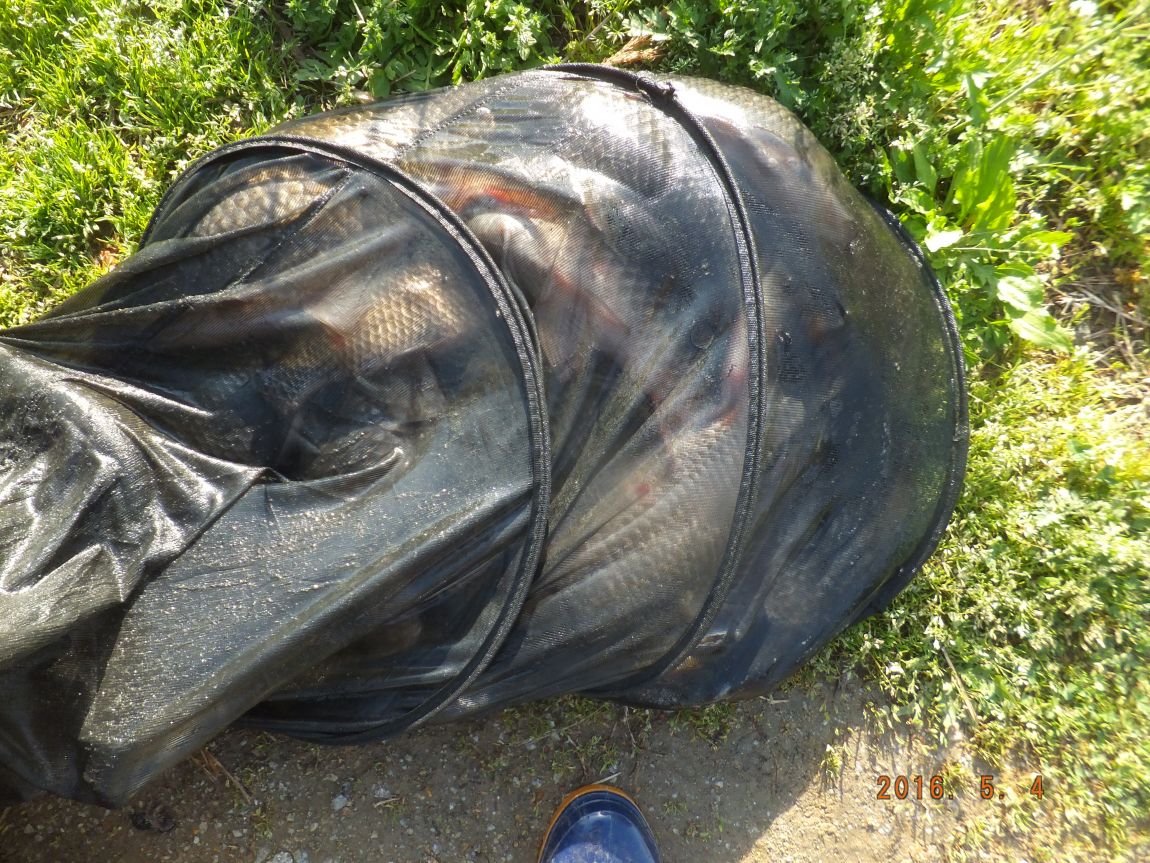 201300703 009.jpg