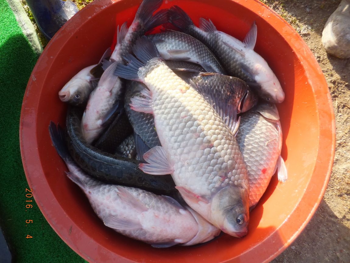 201300703 011.jpg