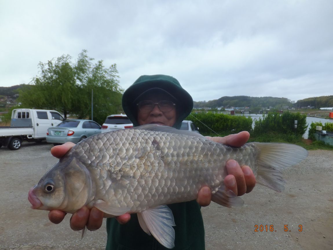 201300703 004.jpg