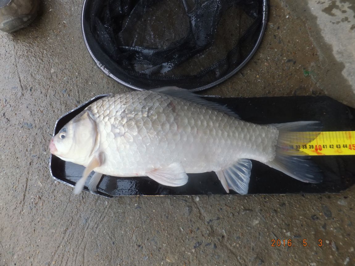 201300703 003.jpg