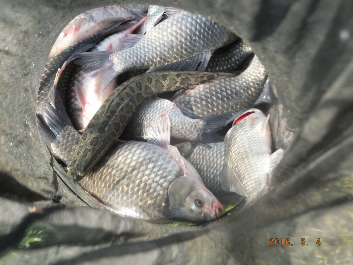 201300703 010.jpg