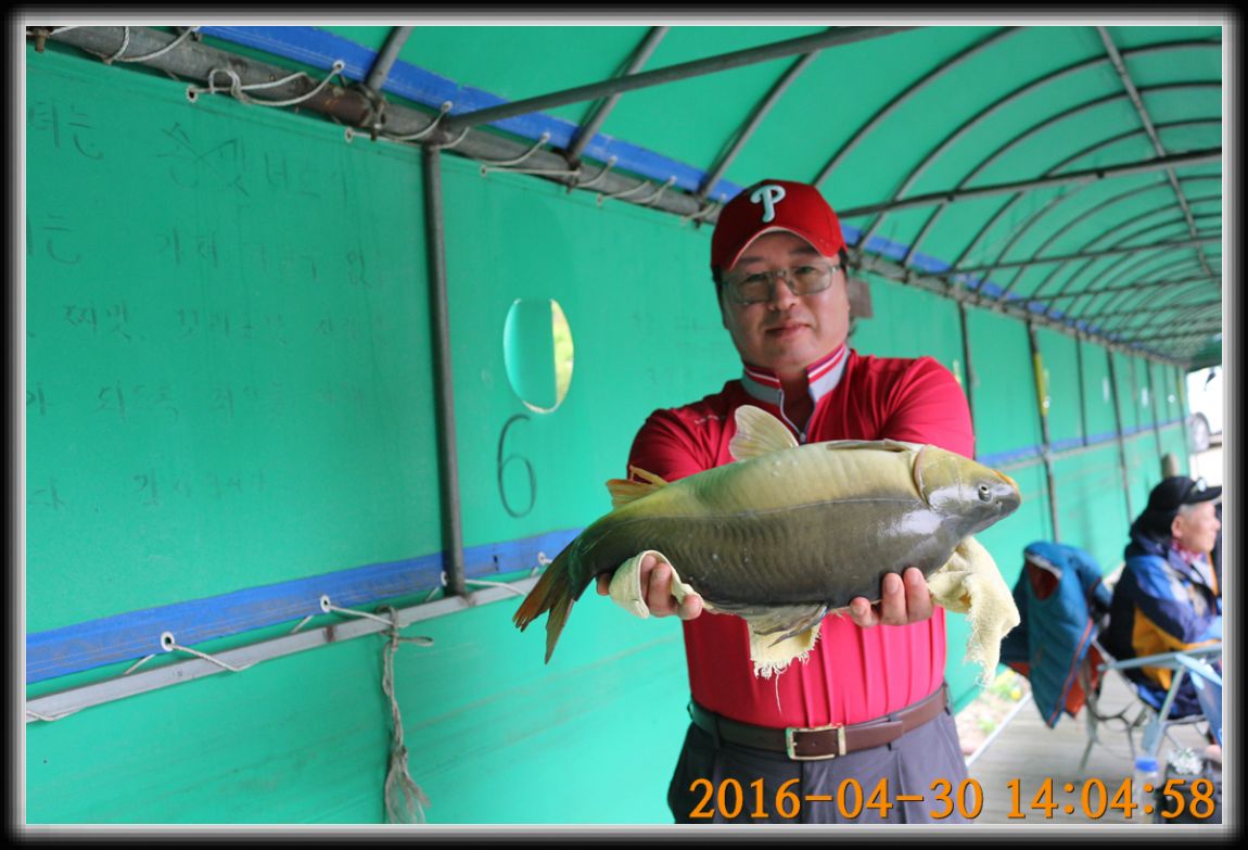 IMG_0041.jpg