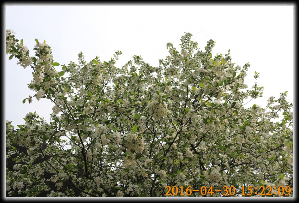 IMG_0083.jpg