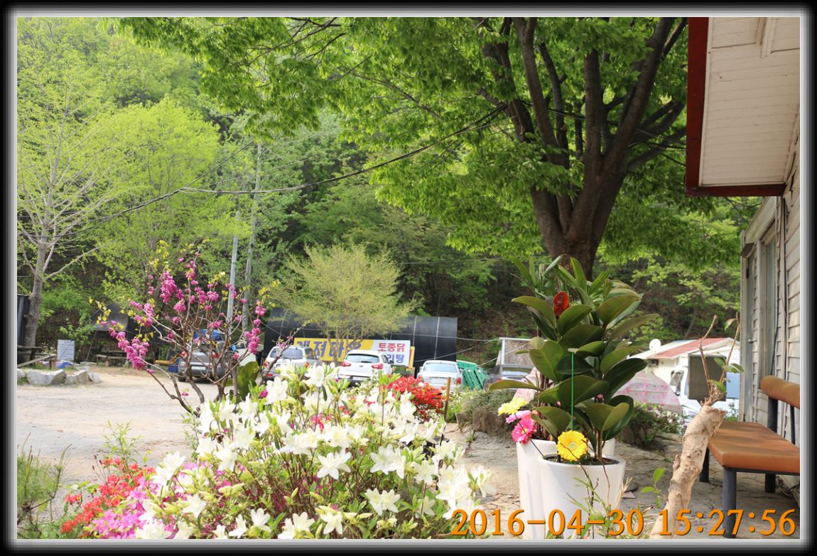 IMG_0086.jpg