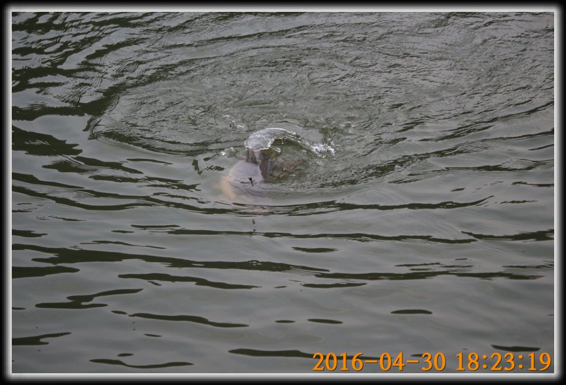 IMG_0091.jpg