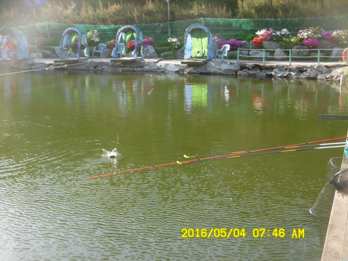 5��4�� 001.JPG