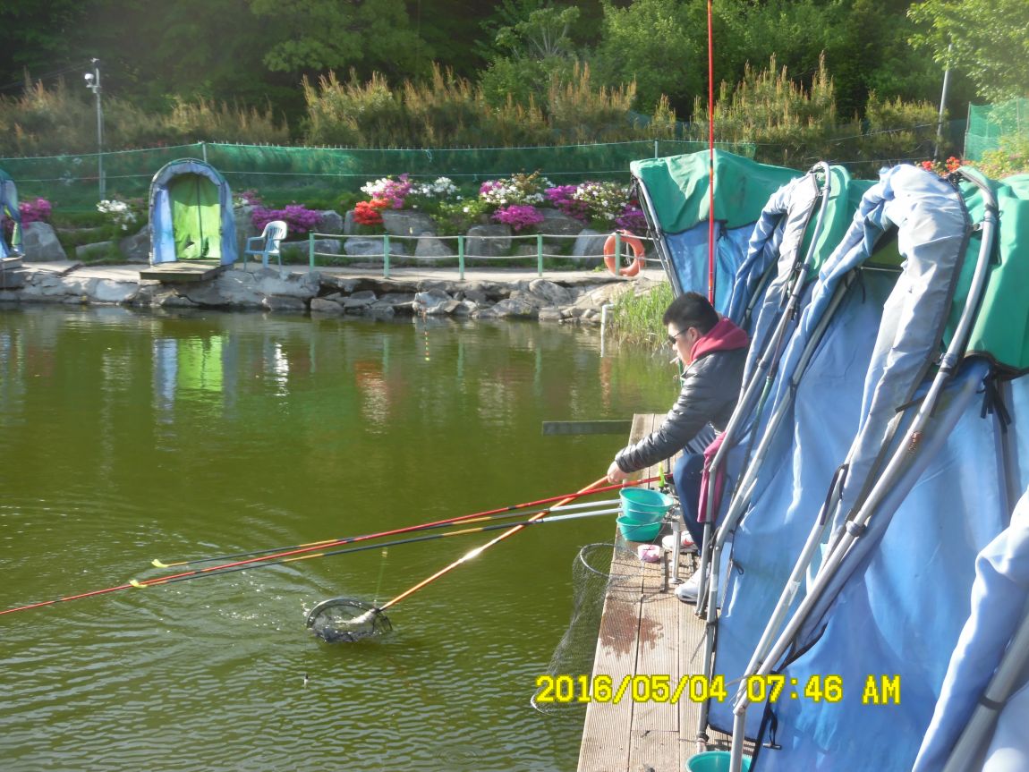 5��4�� 002.JPG