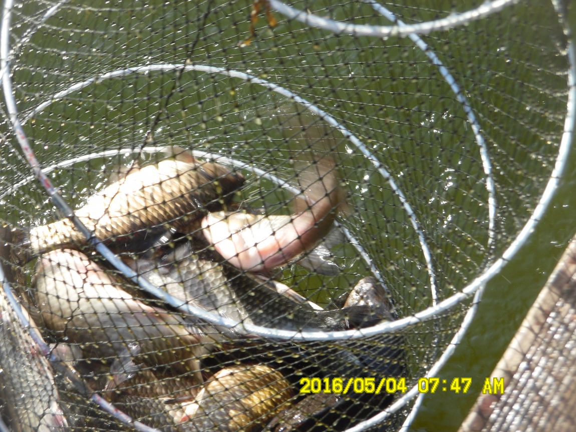 5��4�� 003.JPG