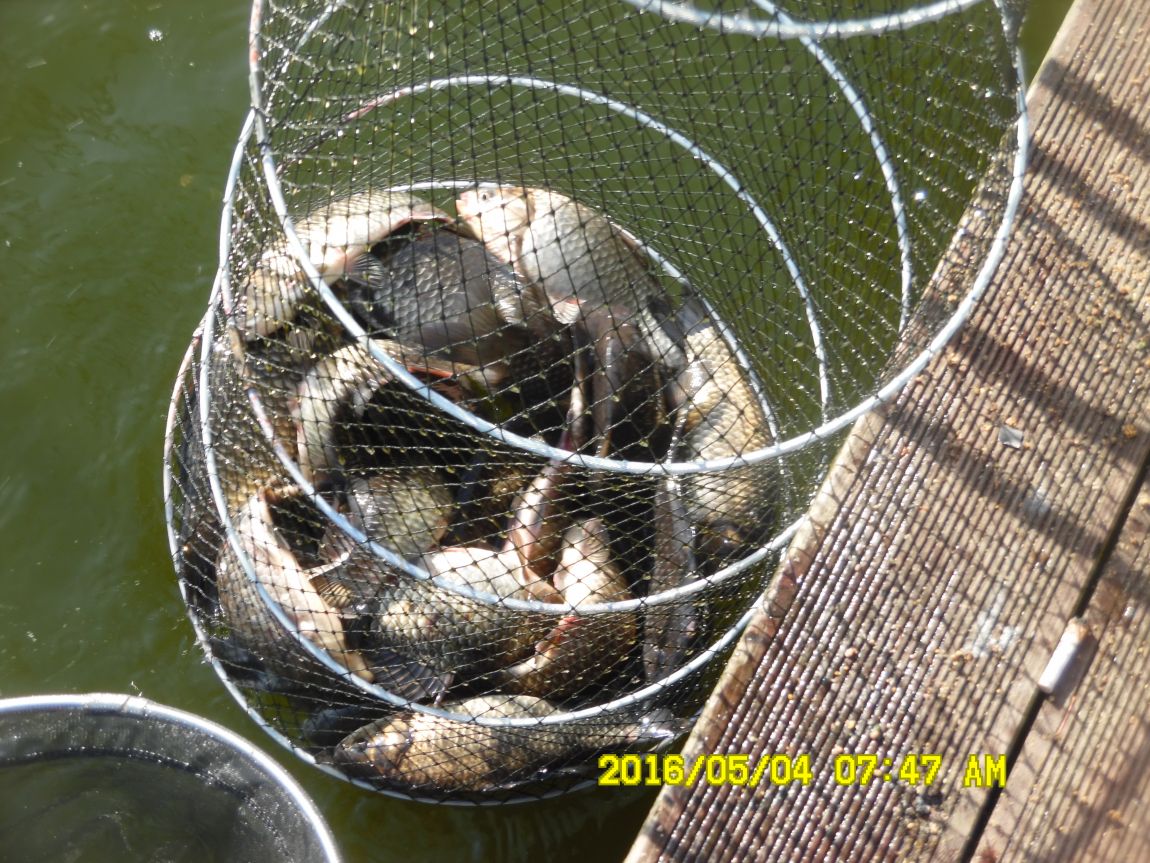 5��4�� 004.JPG