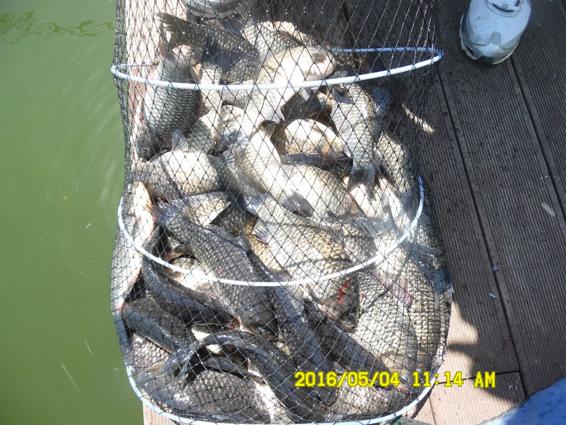 5��4�� 006.JPG