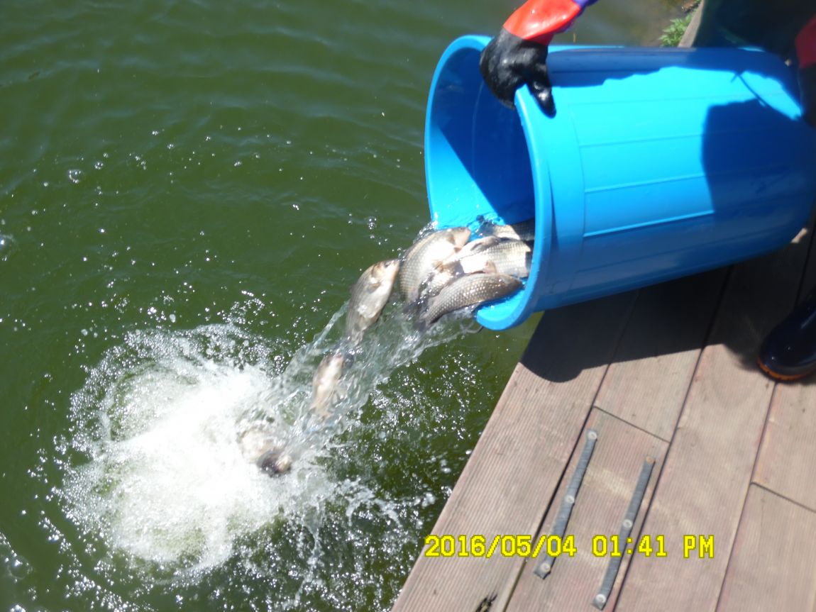 5��4�� 007.JPG