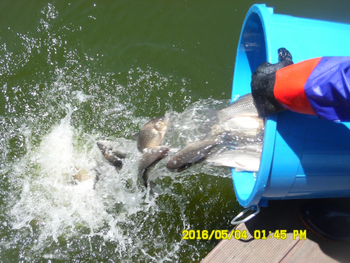 5��4�� 008.JPG