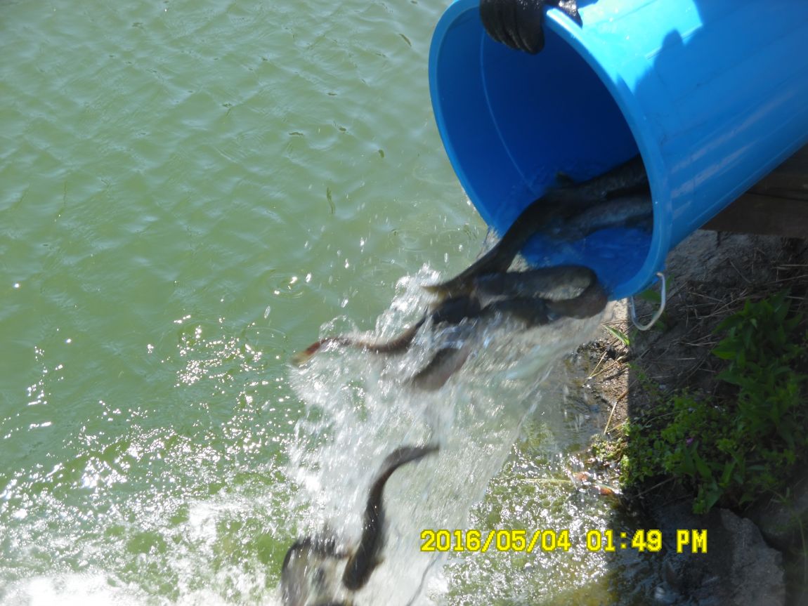 5��4�� 009.JPG