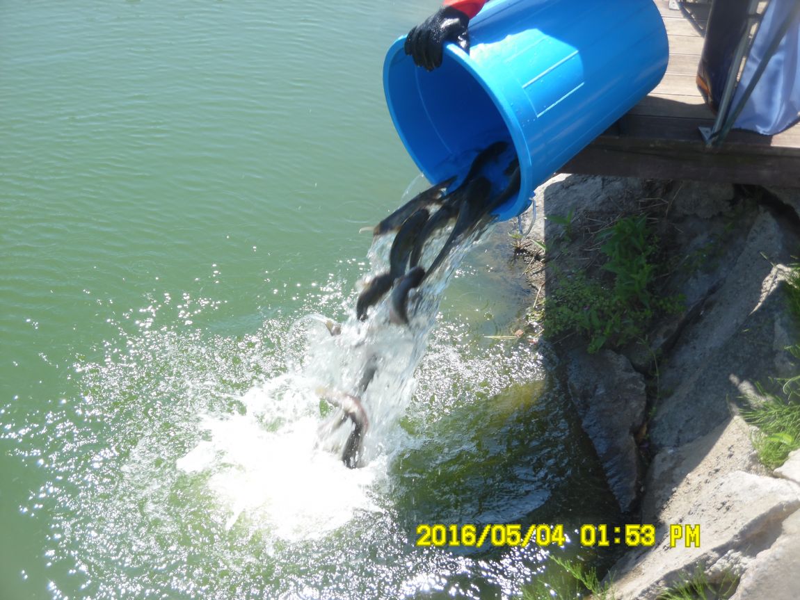 5��4�� 011.JPG