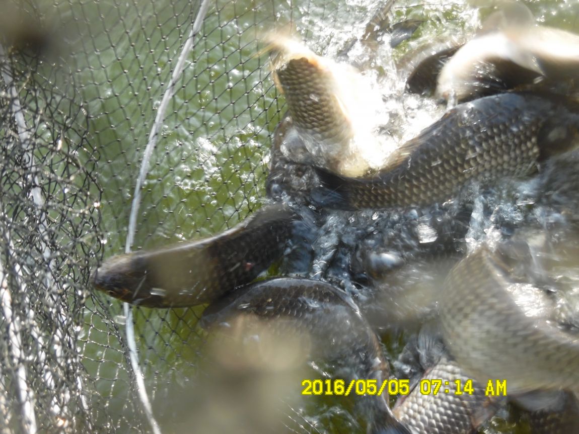 5��5�� 004.JPG