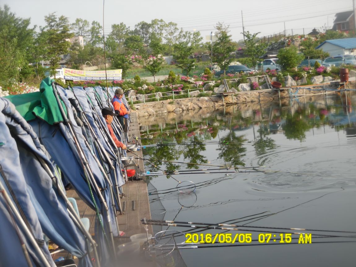 5��5�� 005.JPG