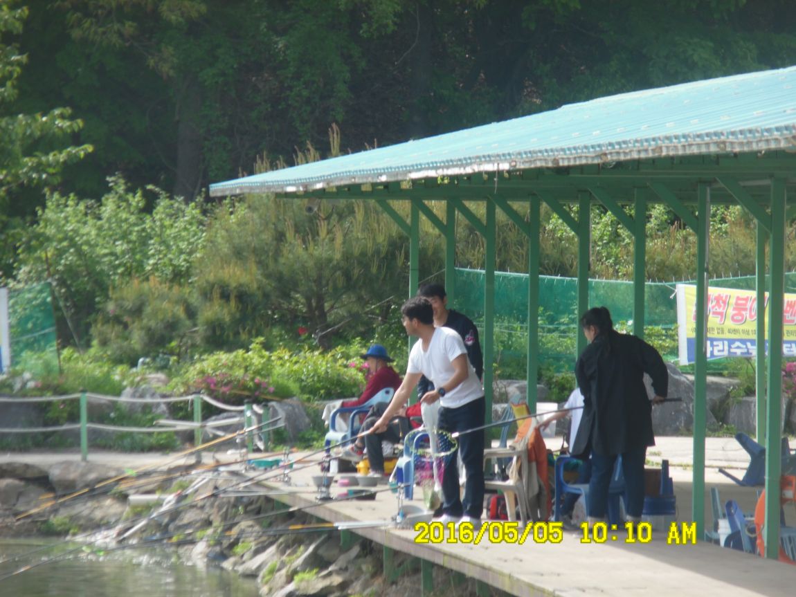 5��5�� 007.JPG