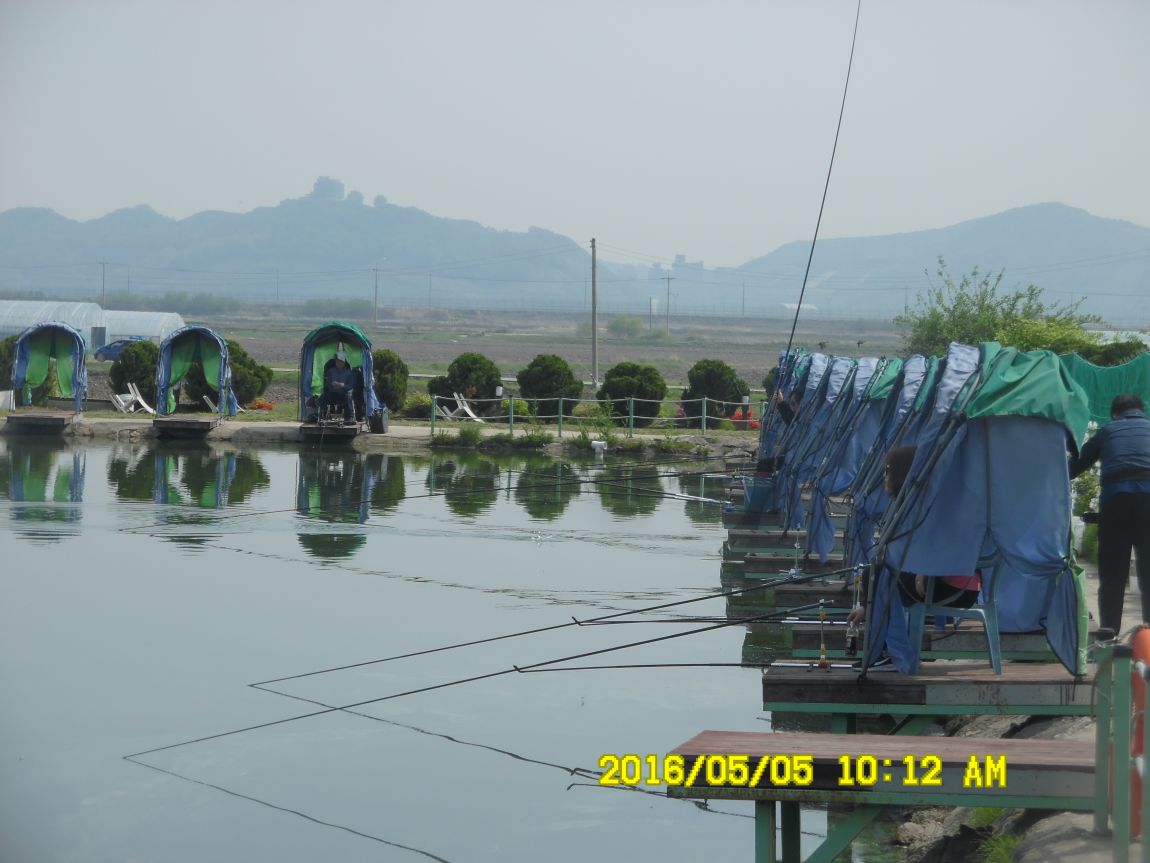 5��5�� 009.JPG