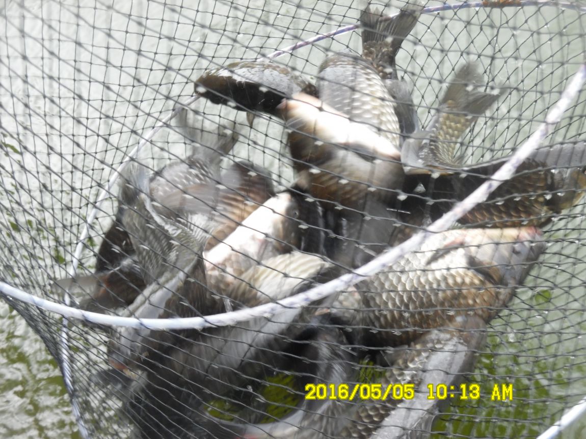 5��5�� 010.JPG