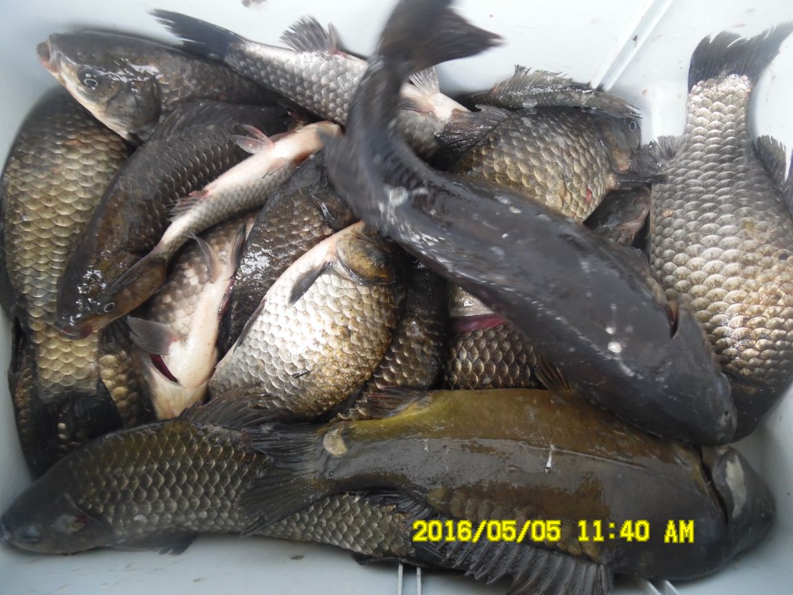 5��5�� 011.JPG