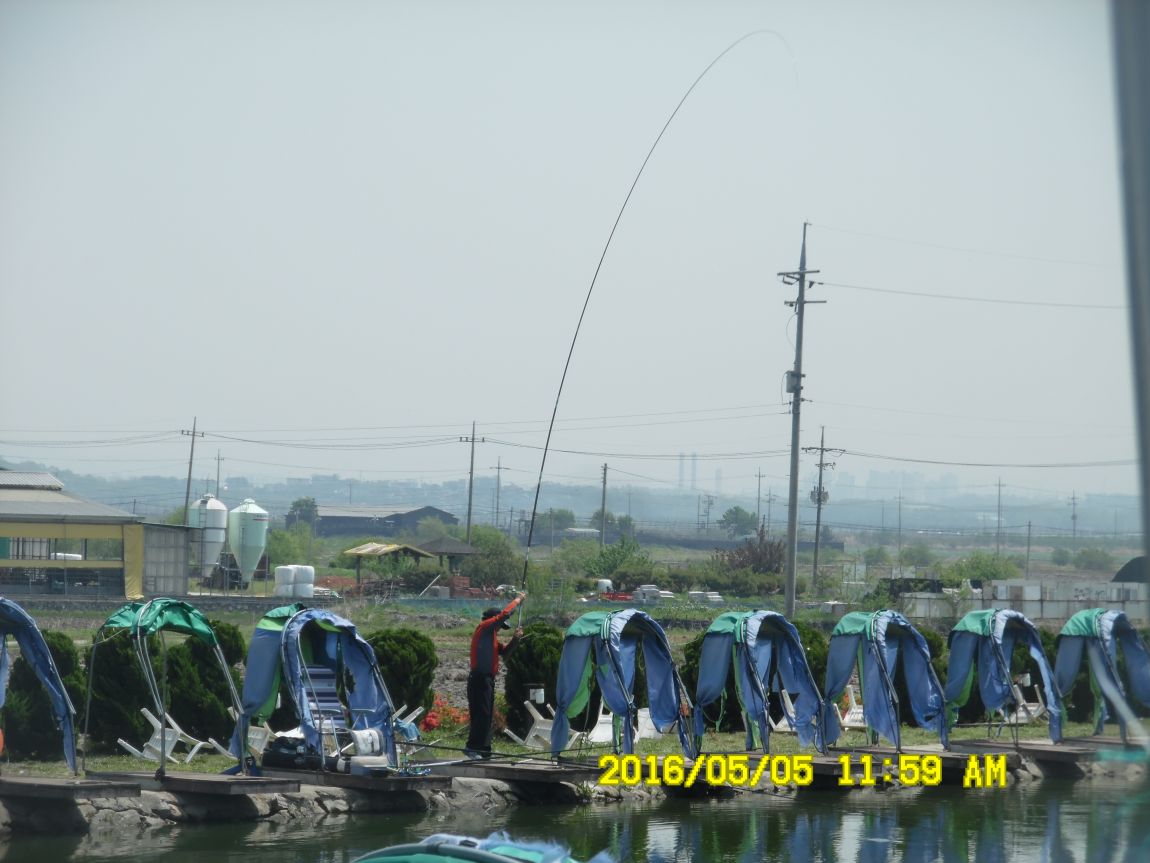 5��5�� 012.JPG