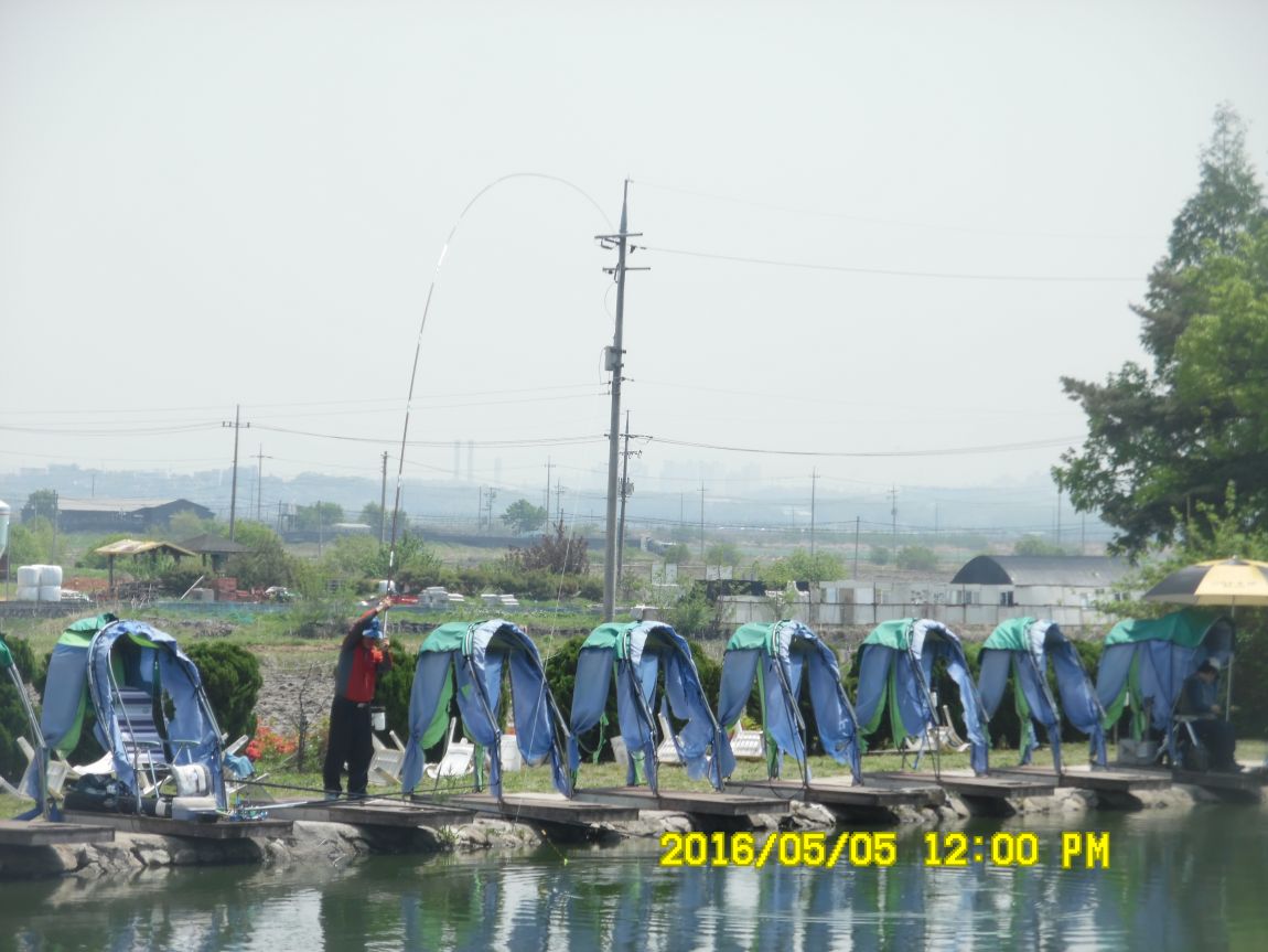 5��5�� 013.JPG