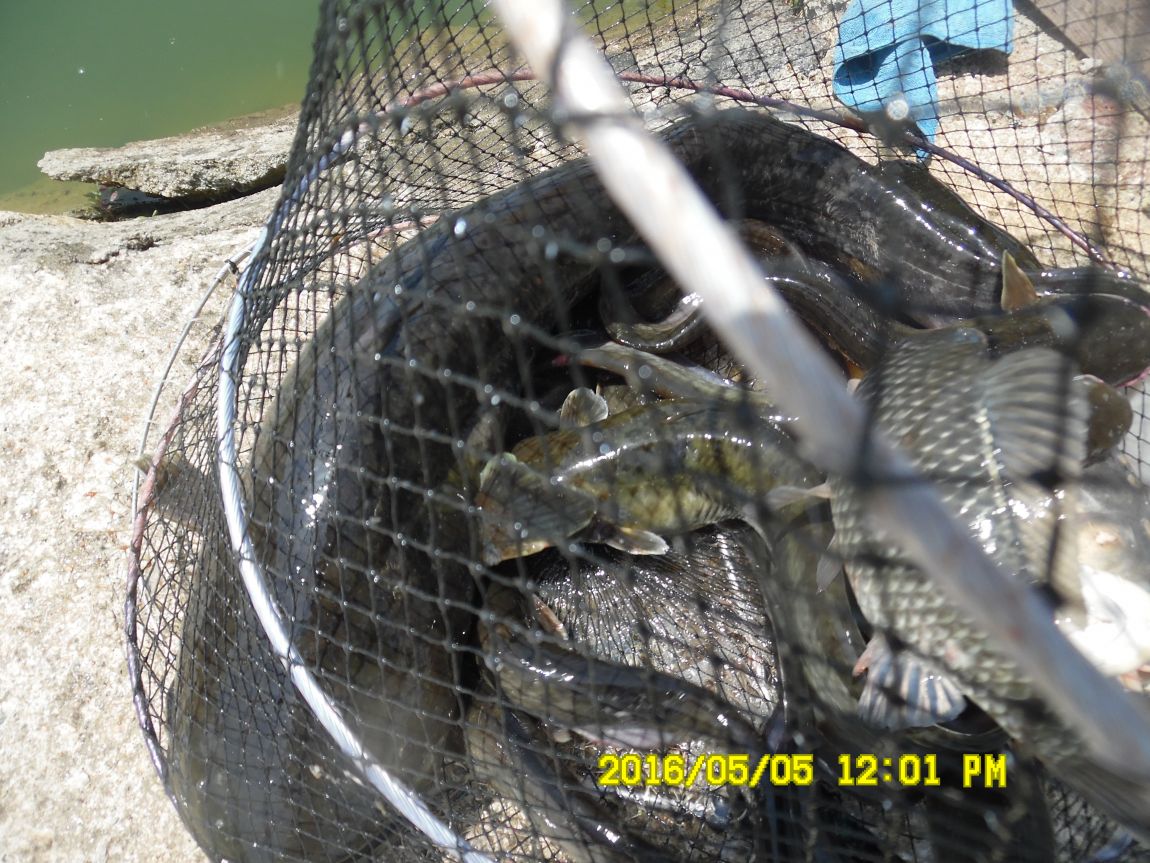 5��5�� 014.JPG